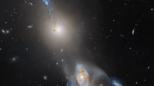 Bright galaxy displaying a long, blue tidal tail stretching into the dark cosmic void, surrounded by distant stars.