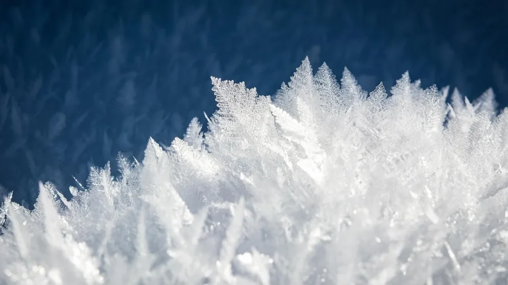 Intricate white frost crystals forming fern-like patterns against a dark blue background.