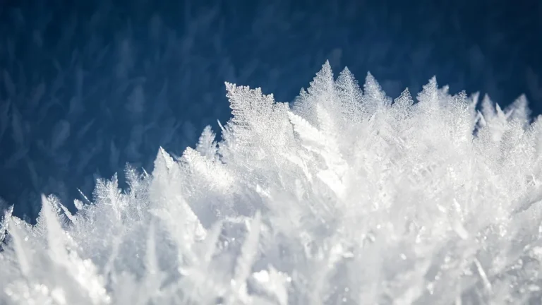 Intricate white frost crystals forming fern-like patterns against a dark blue background.