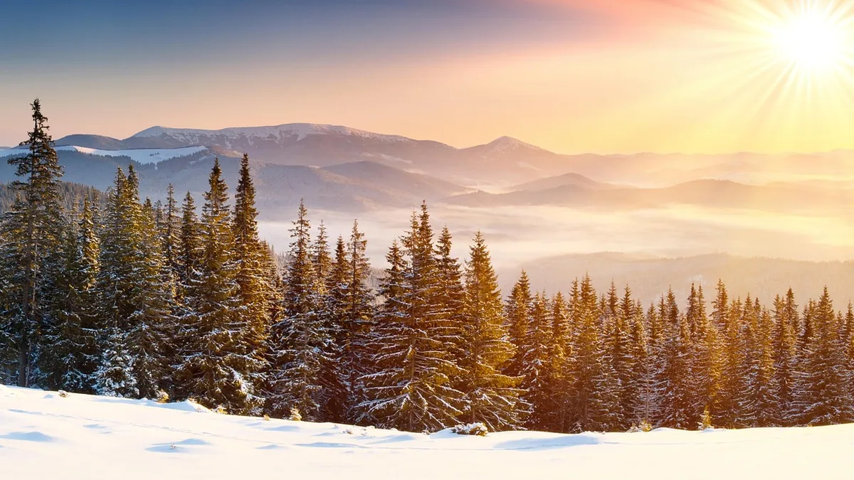 Golden sunrise illuminating a snowy pine forest overlooking misty, layered mountains in winter.