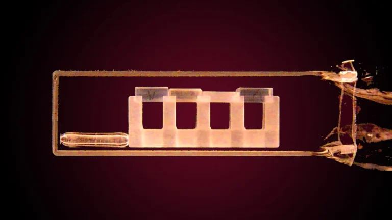 Microscopic view of the atom-trapping microchip used to simulate the Big Bang and Big Crunch cosmic cycle.