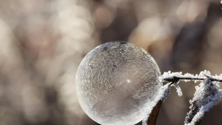 Intricate ice crystals cover a frozen, sphere-like bubble resting on a frosty branch under soft bokeh light.