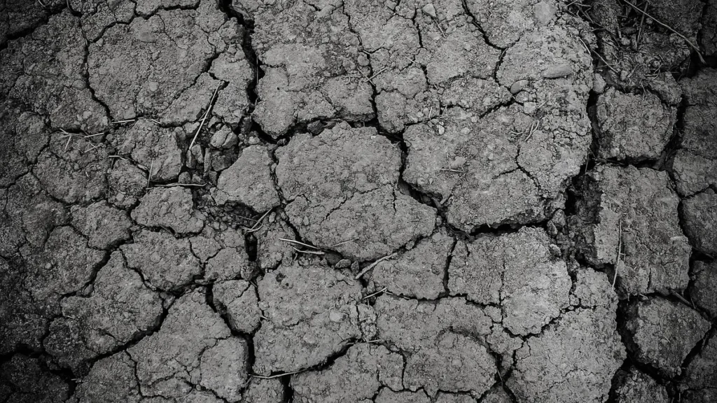 Black and white close-up of dry, cracked earth showing deep, barren soil fissures.