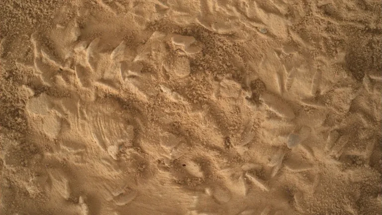 Martian soil texture with flat disc-like and sharp needle-like mineral fragments at the Nazca drill target.