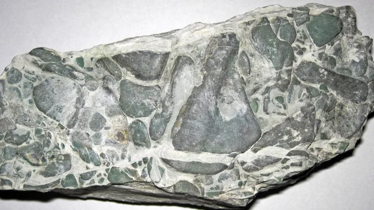 A geological specimen showing greenish silicate pebbles embedded in a lighter matrix.