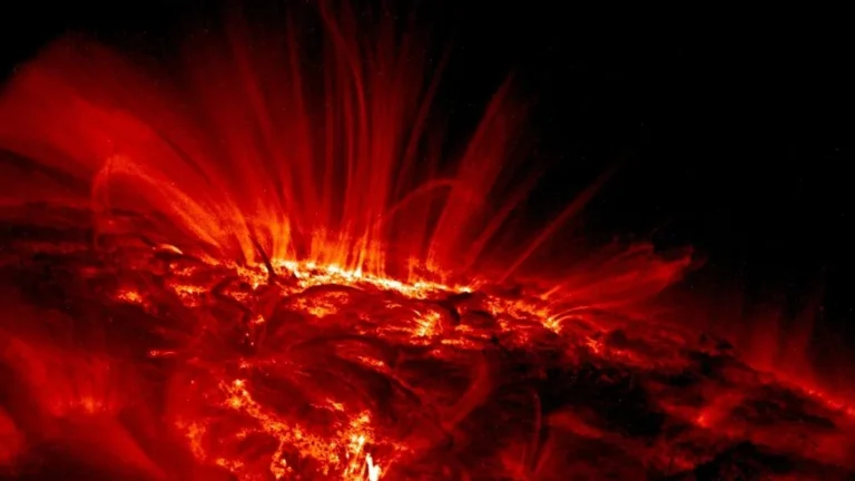 Vibrant red solar flares and glowing loops rise from the sun's fiery surface against a dark space background.