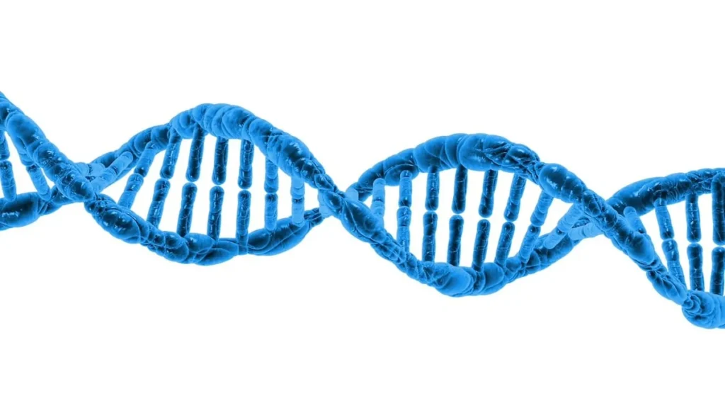 A blue DNA double helix on a white background, symbolizing molecular chirality.