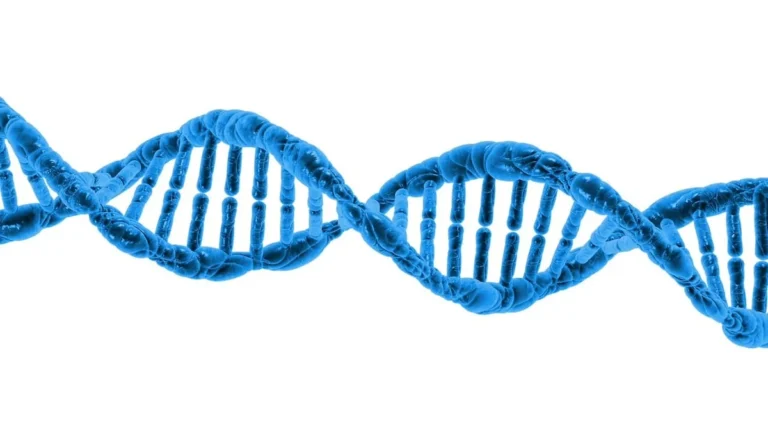 A blue DNA double helix on a white background, symbolizing molecular chirality.
