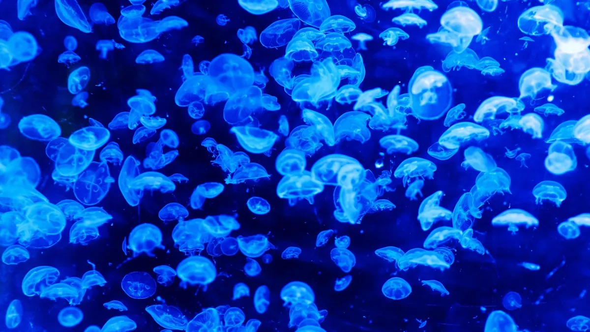 Translucent blue jellyfish glowing brightly in a deep blue aquatic environment, resembling ethereal alien life.