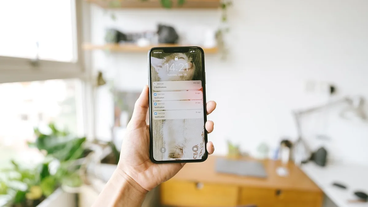 Hand holding smartphone displaying Twitter notifications on a cat wallpaper lock screen.