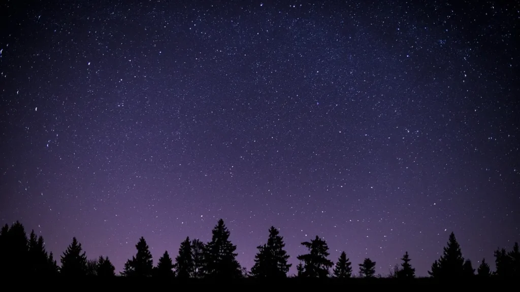 A starry purple night sky over a silhouette of pine trees, evoking a dark site for stargazing.
