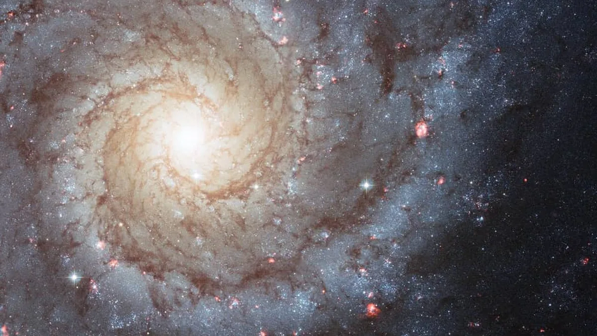A close-up view of the spiral galaxy M74, showing a bright core, dust lanes, and star-forming regions.
