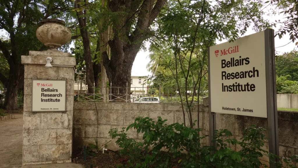 Entrance sign of the McGill Bellairs Research Institute in Holetown, St. James, amidst green trees and a stone wall.