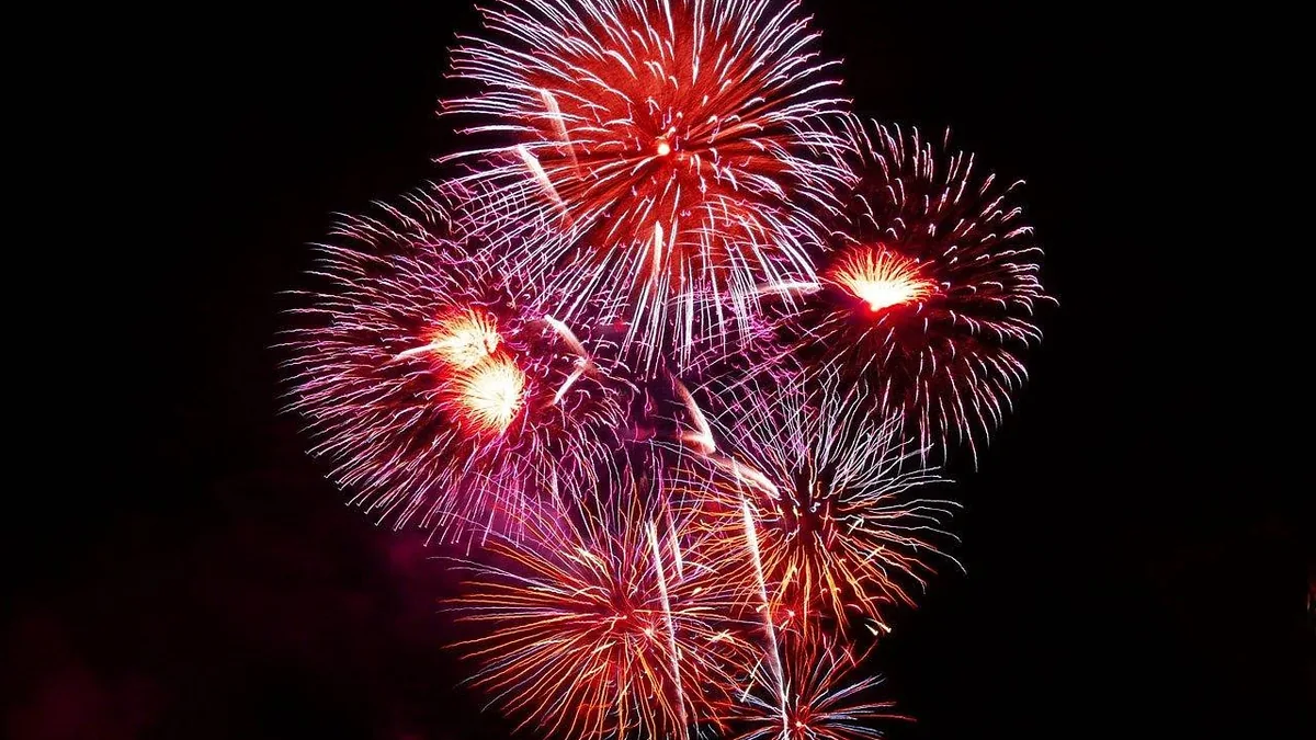 Vibrant red and purple fireworks exploding in a cluster against a dark black night sky.