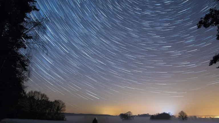 Long-exposure star trails arc across a misty night sky above a silhouetted treeline.