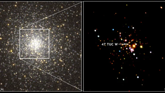 Astronomers discover rare pulsar triple system