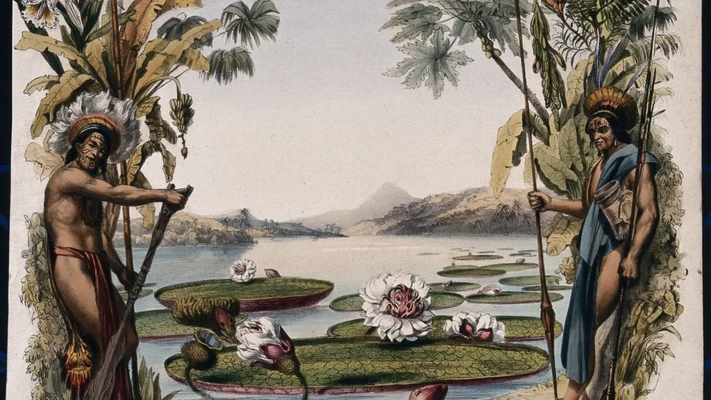 Historical illustration of giant water lilies in a river with indigenous people on the shore.