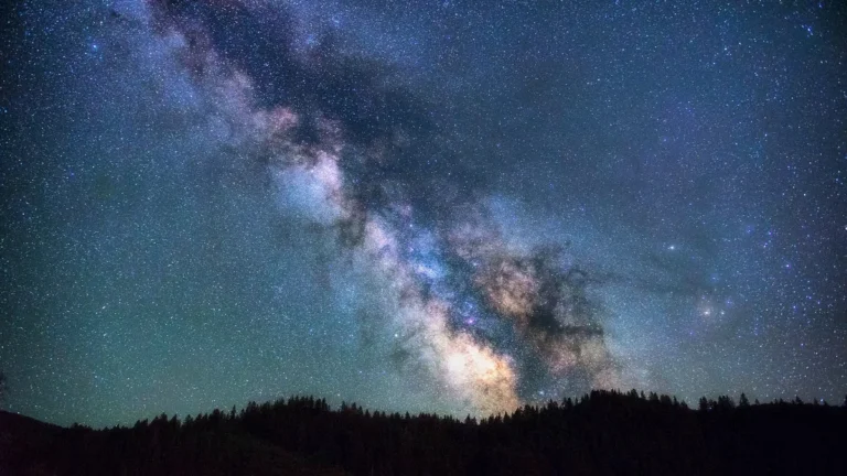 The Milky Way stretches across a star-filled night sky over a silhouetted forest line.