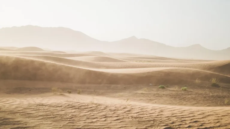 Wind-swept sand dunes in a hazy desert landscape with distant mountains under a bright sky.