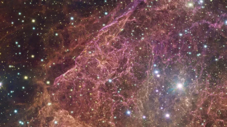 A vibrant cosmic web of pink and purple gas filaments glitters with bright stars.