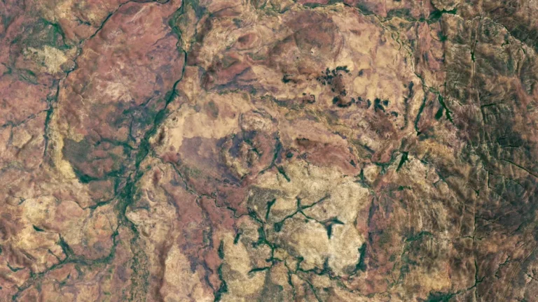 Satellite view of a reddish-brown arid landscape with green vegetation tracing winding valleys and geological formations.
