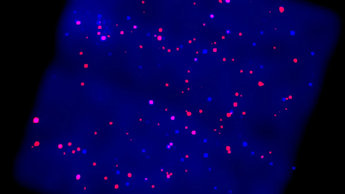 Scattered red and blue dots on a deep blue background representing a field of cosmic particles or fragmented asteroids.