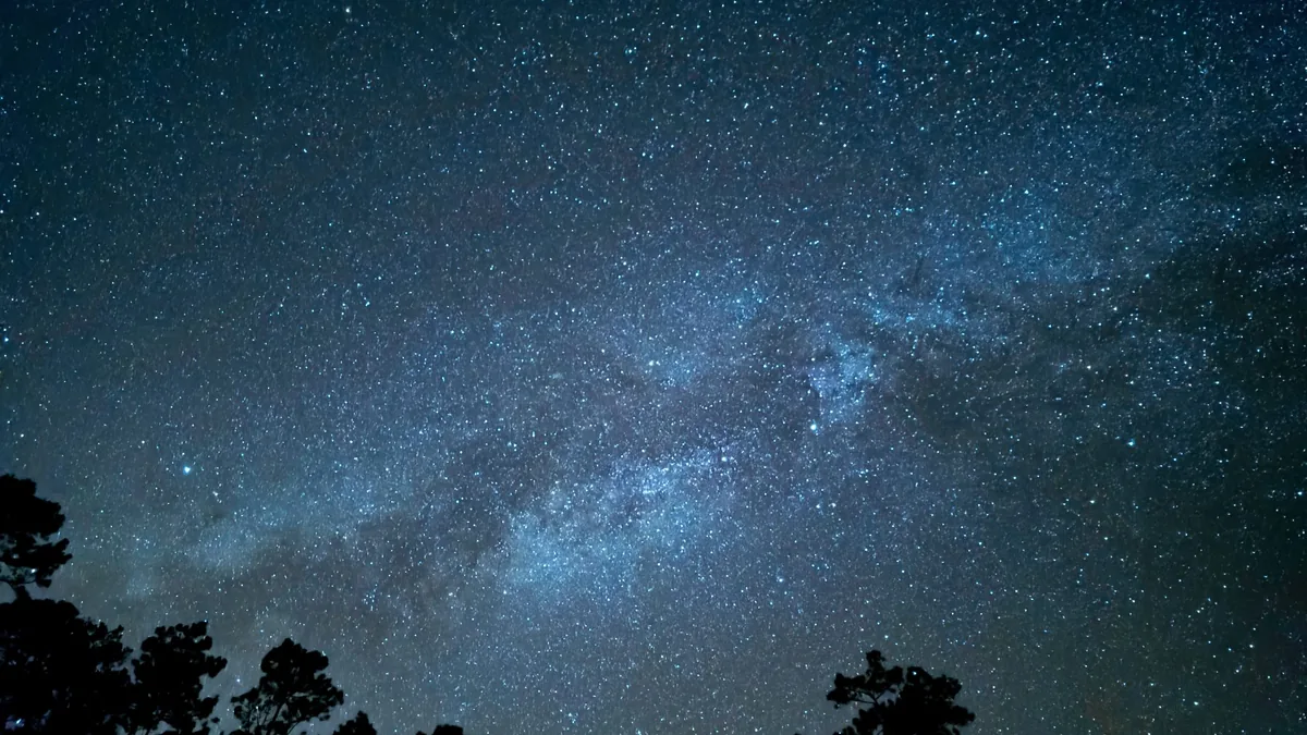 Starry night sky with the Milky Way galaxy stretching across a dark blue sky over silhouetted trees.