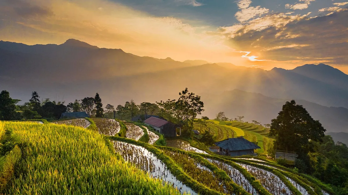 Terraced rice fields in Vietnam glowing under a golden sunrise with mountain ranges in the background.