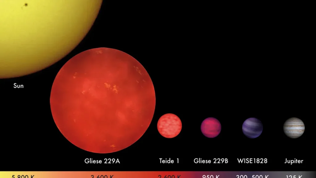 Comparison of the Sun, red dwarf, brown dwarfs, and Jupiter in size and surface temperature.